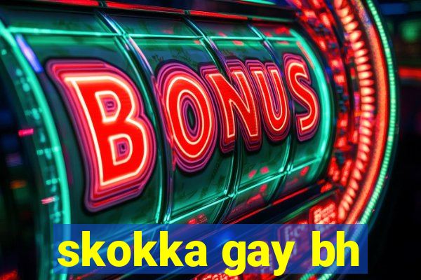 skokka gay bh